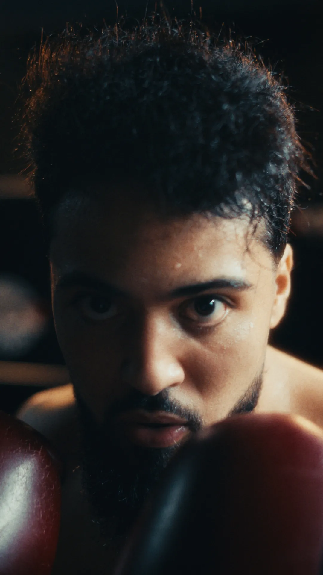 Still de RS2